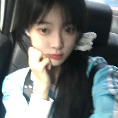 史酷比狗 在线观看