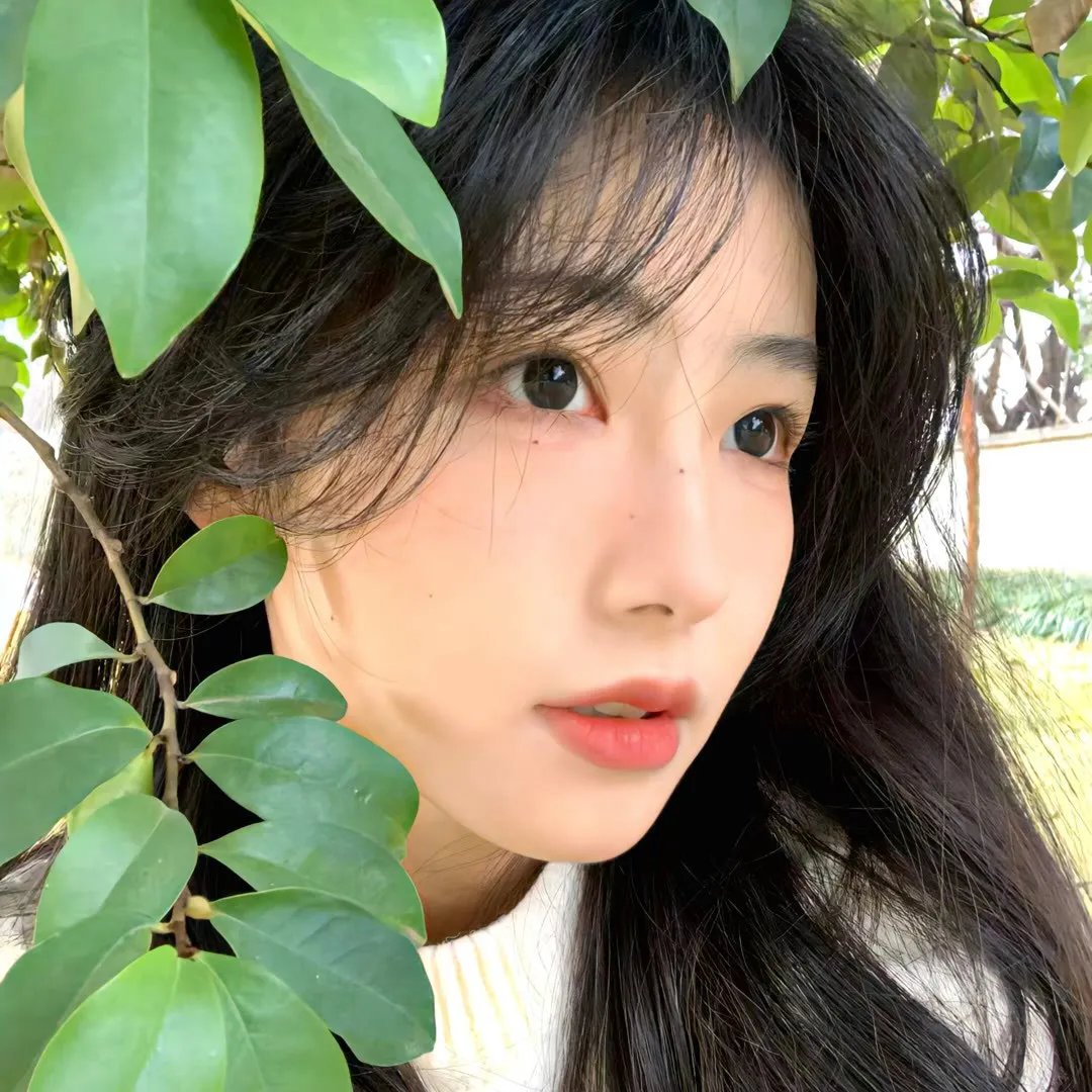 心之帘 在线观看